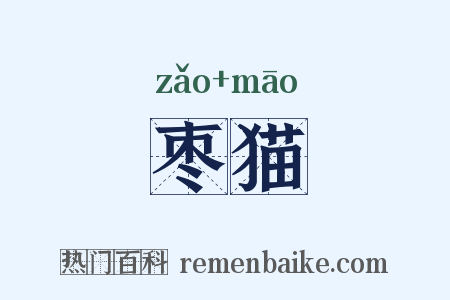 枣猫是什么意思的图片